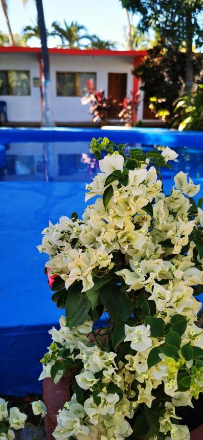 Hotel Oasis Melaque San Patricio Melaque Exteriör bild